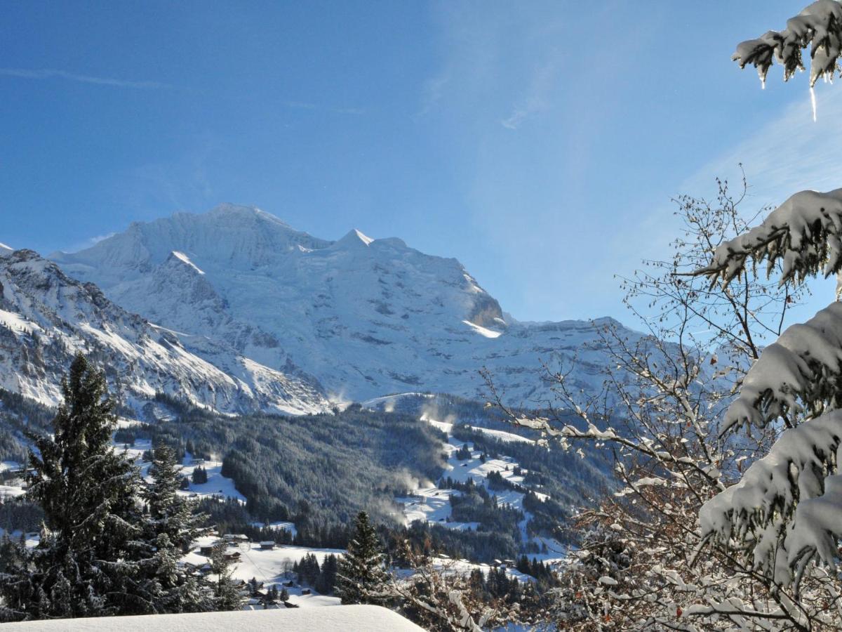 Studio Chalet Silence By Interhome Wengen Eksteriør bilde